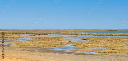 Fishing pens at low tide on the beach of Chipiona, Cadiz, Andalusia, Spain.