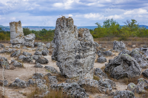 Stones in Pobiti Kamani - natural phenomenon called Stone Forest in Bulgaria