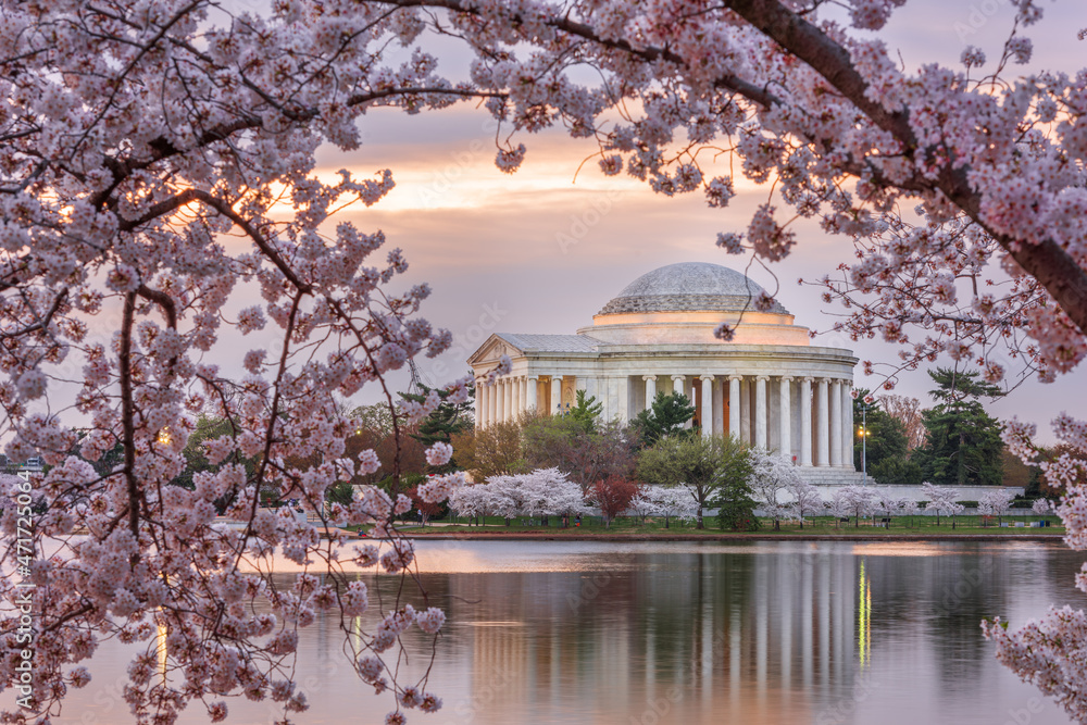 Obraz premium Washington DC, USA at the Jefferson Memorial and Tidal Basin