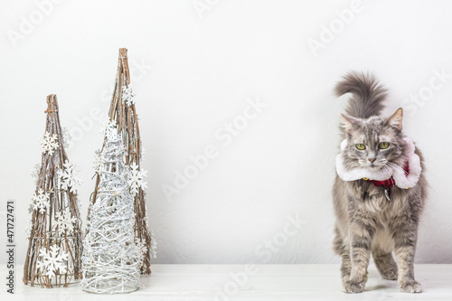 Tabletop Christmas Twig Trees with an intense cat, yellow-green eyes staring