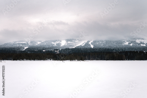 Winter landscape of Russian nature. Ural mountains and spruce forest covered with snow.