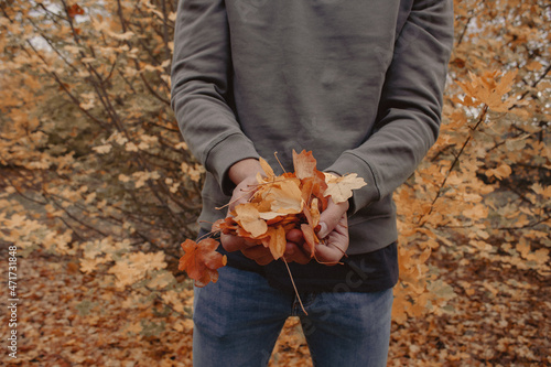 Man collecting leaves from a forest in autumn