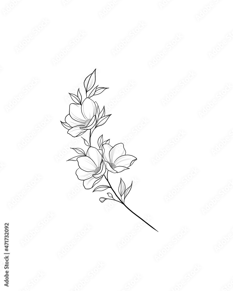 Beautiful sketch of a tattoo - a delicate twig with flowers . Flowers Periwinkle. Hand drawing. Outline. On a white background Beautiful sketch of a tattoo - a delicate twig with flowers . Flowers Periwinkle. Hand drawing. Outline. On a white background