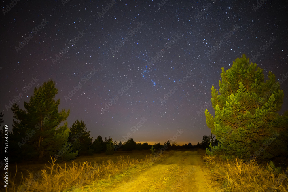 Orion constellation above pine forest with ground road