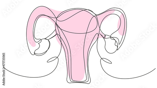 Woman's uterus in one line with a pink spot on a white background. A simple illustration of a woman's reproductive organs. The concept of health, childbirth, menstruation, sex life, treatment.