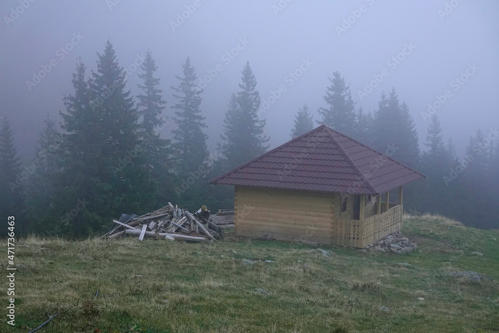 Traditional wooden chalet in National Park Retezat, Romania, Europe 