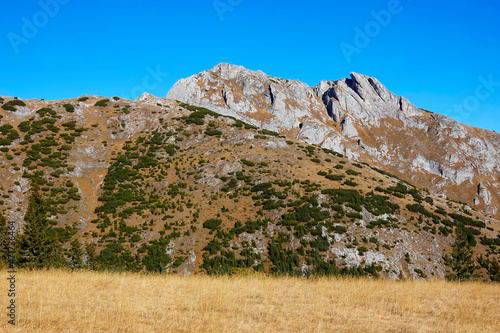 Fall colours in National Park Retezat, Romania, Europe photo