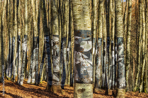 The Gernika painted on the trunks of the Antzeri beech forest, ZILBETI, as a protest idea to preserve the beech forest that was going to be destroyed, Navarre. photo