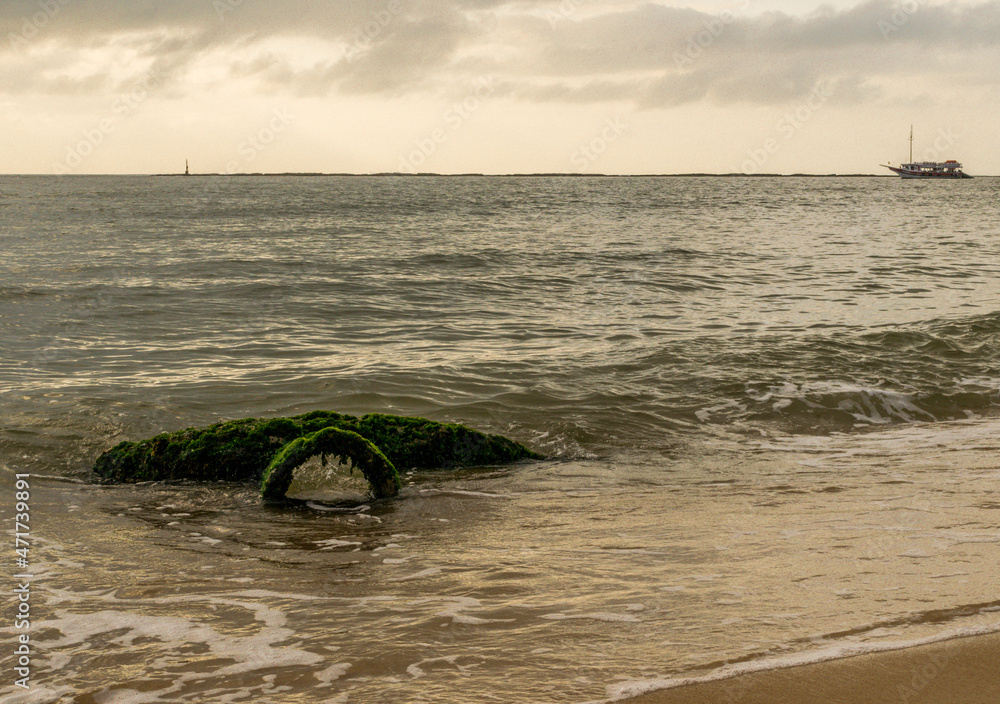 Fototapeta premium Nas-do-sol na orla de Porto Seguro