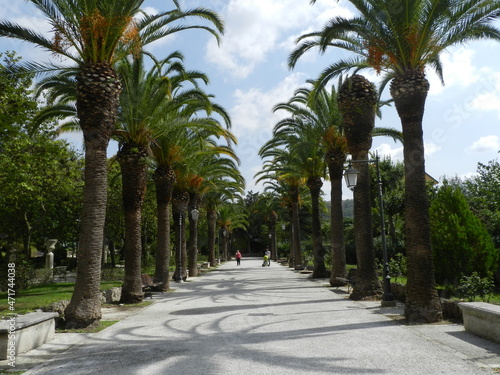 Ragusa, Sicily, Giardino Ibleo, Allee of Palms