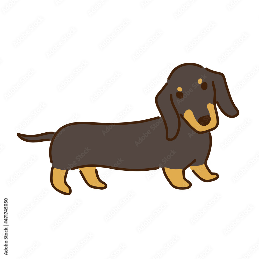 ダックスフンド　シンプルでかわいい犬のイラスト／Dachshund simple and cute dog illustration