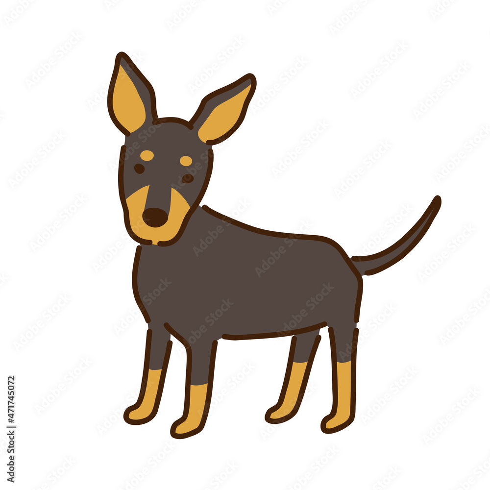 ピンシャー　シンプルでかわいい犬のイラスト／Pinscher simple and cute dog illustration