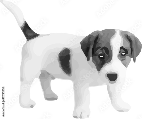 perro blanco con manchas negras posando. Vector sin fondo, fondo transparente