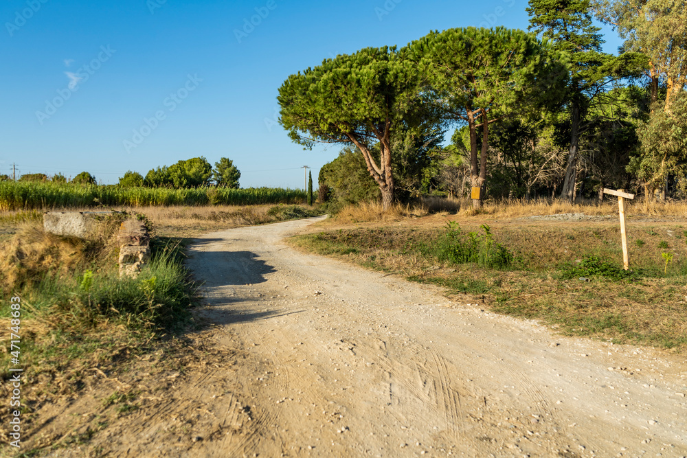 Dirt road in the countryside in the municipality of Piombino, an area called Dirt road in the countryside in the municipality of Piombino, an area called