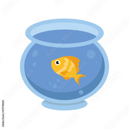 fish in a bowl