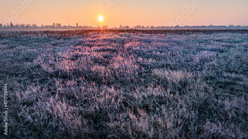 Dawn in a field, on a cold autumn morning, near the city