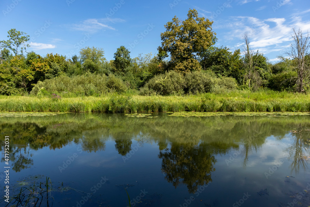 Wonderful Odra river passing through the ancient forest of Turopoljski Lug, famous hunting grounds near Zagreb city, Croatia