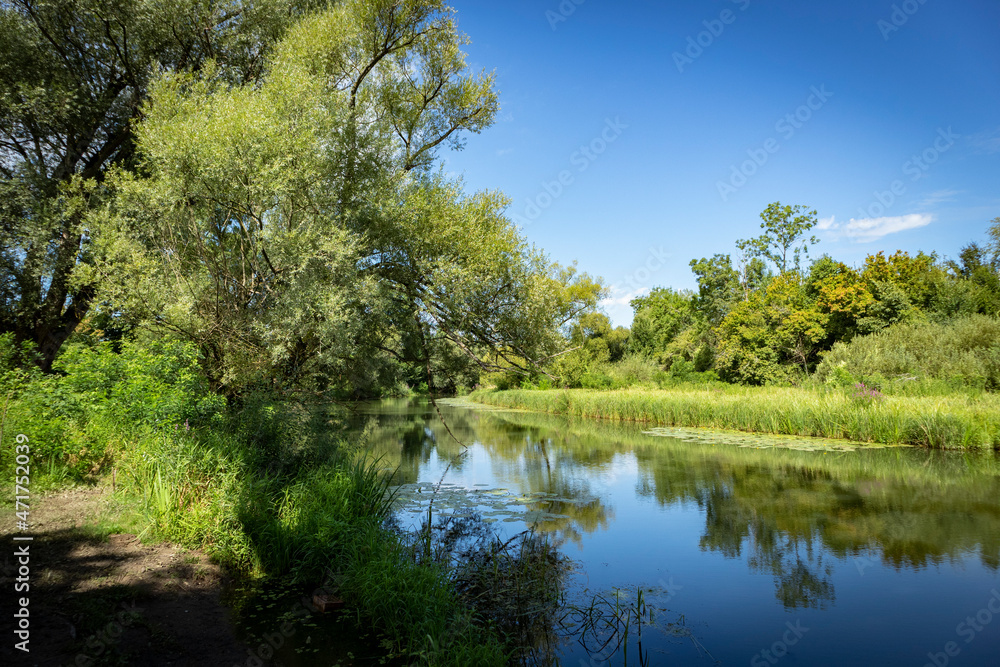 Wonderful Odra river passing through the ancient forest of Turopoljski Lug, famous hunting grounds near Zagreb city, Croatia