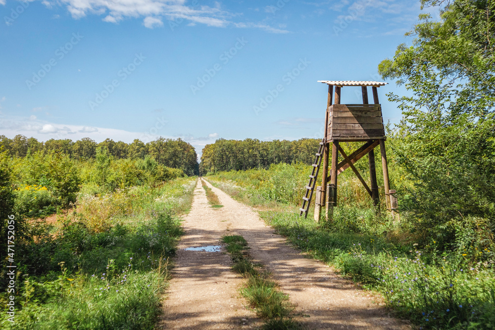 Lonely, wooden hunting tower rising above dirt road passing through ancient hunting grounds of Turopoljski Lug, beautiful forest near city of Zagreb, Croatia Lonely, wooden hunting tower rising above dirt road passing through ancient hunting grounds of Turopoljski Lug, beautiful forest near city of Zagreb, Croatia