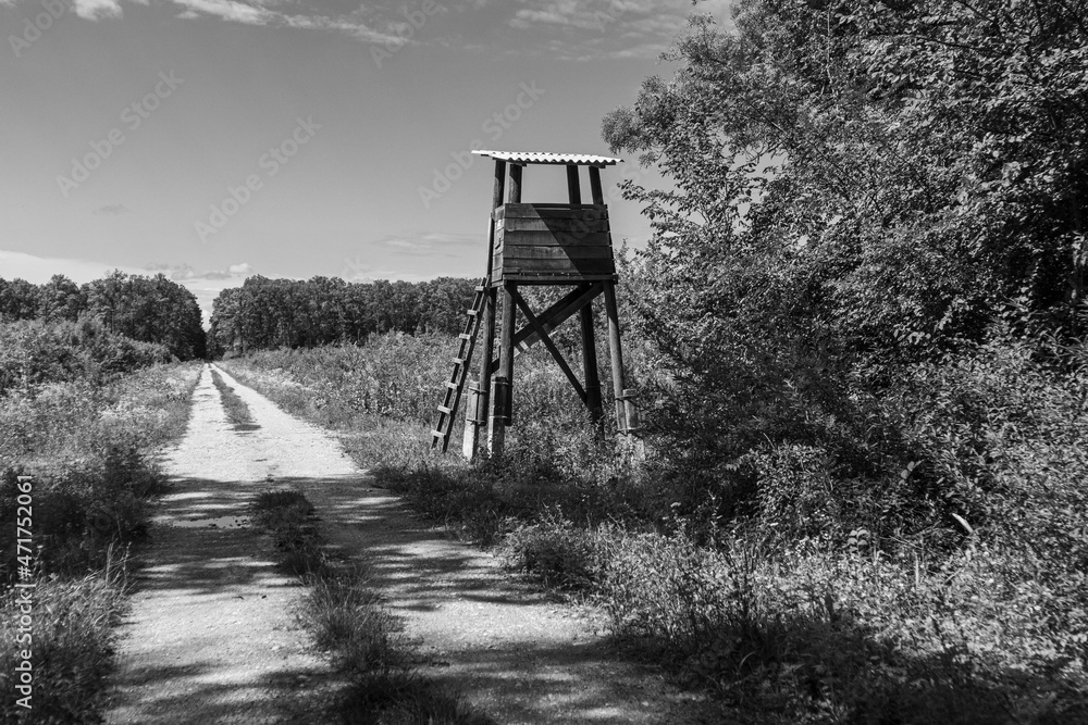 Lonely, wooden hunting tower rising above dirt road passing through ancient hunting grounds of Turopoljski Lug, beautiful forest near city of Zagreb, Croatia Lonely, wooden hunting tower rising above dirt road passing through ancient hunting grounds of Turopoljski Lug, beautiful forest near city of Zagreb, Croatia