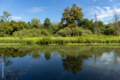 Wonderful Odra river passing through the ancient forest of Turopoljski Lug, famous hunting grounds near Zagreb city, Croatia