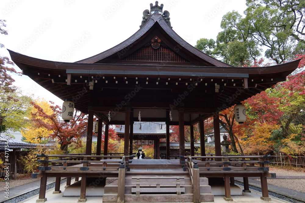  Hai-den Hall and autumnal leaves in the precincts of Nashinoki-jinjya Shrine in Kyoto City in Japan 日本の京都市にある梨木神社境内の拝殿と紅葉