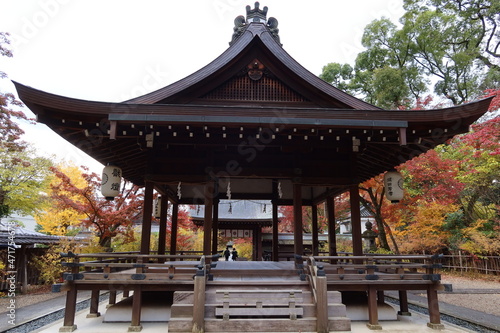  Hai-den Hall and autumnal leaves in the precincts of Nashinoki-jinjya Shrine in Kyoto City in Japan                                                                