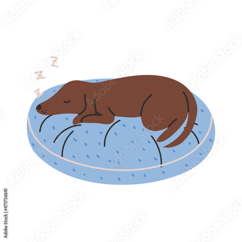 dog sleeping on cushion