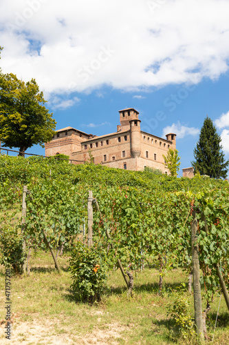 Vineyard in Piedmont Region  Italy  with Grinzane Cavour castle in the background