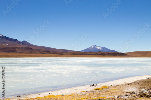 Laguna Hedionda view, Bolivia