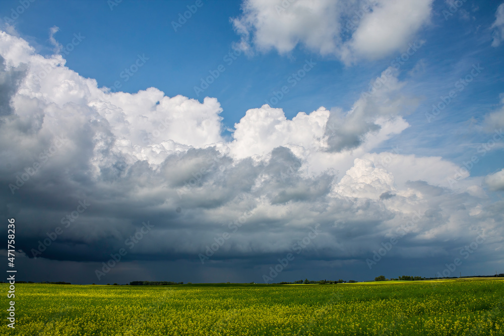 Fototapeta premium Stormy Weather