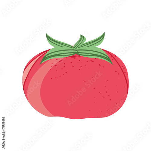 tomato fresh icon