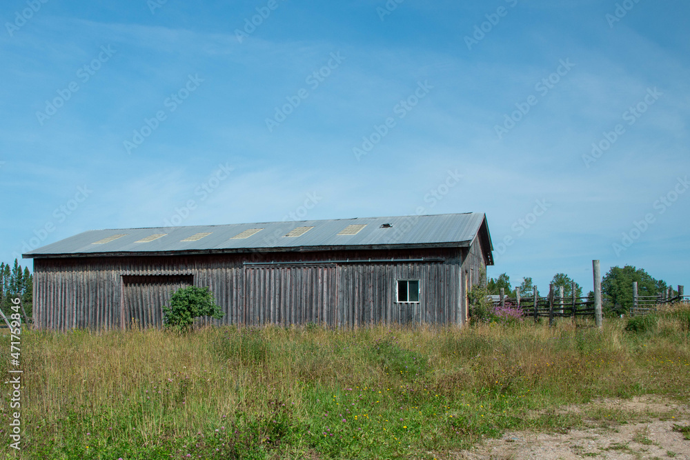 A long grey worn weathered wooden barn with a small closed glass window, metal roof in a meadow of tall green grass and hay. Behind the barn are trees, potato rows, and a small fenced animal pen. A long grey worn weathered wooden barn with a small closed glass window, metal roof in a meadow of tall green grass and hay. Behind the barn are trees, potato rows, and a small fenced animal pen.