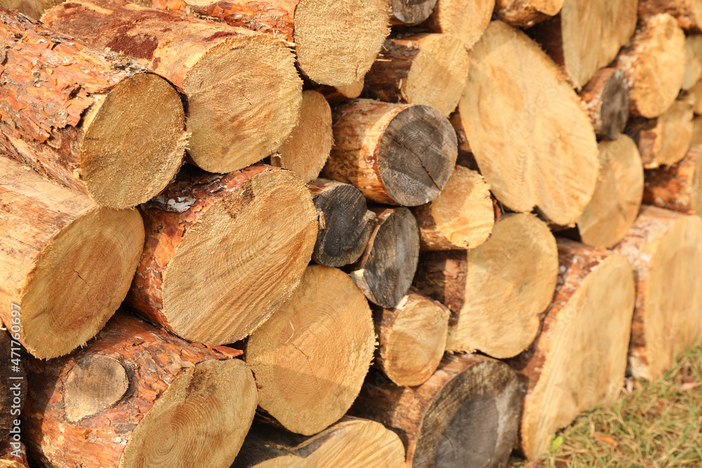 Stacked firewood outdoors, closeup. Heating in winter Stacked firewood outdoors, closeup. Heating in winter