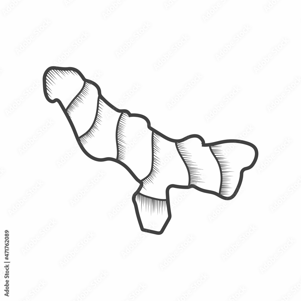 Ginger doodle for Tattoo and t shirt design line art black and white Ginger doodle for Tattoo and t shirt design line art black and white