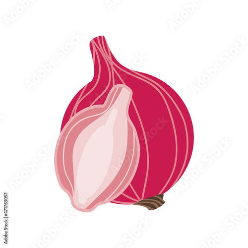 red onion fresh icon