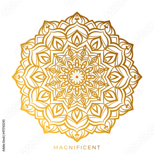 abstract magnificent mandala art wealth, abundance, prosperity circular vector design