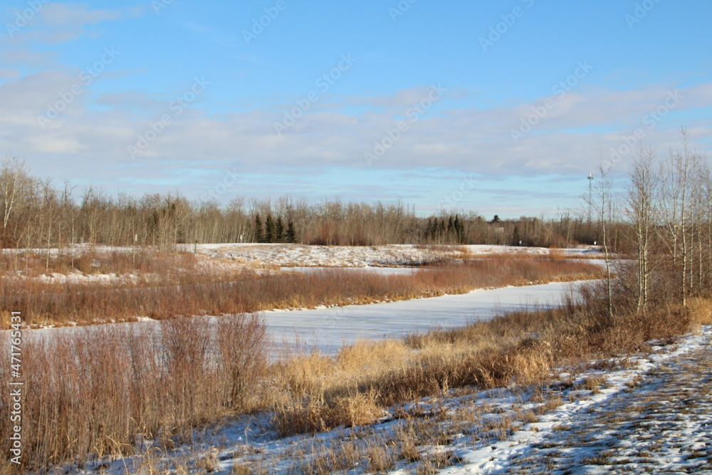 Lake In Winter, Pylypow Wetlands, Edmonton, Alberta Lake In Winter, Pylypow Wetlands, Edmonton, Alberta