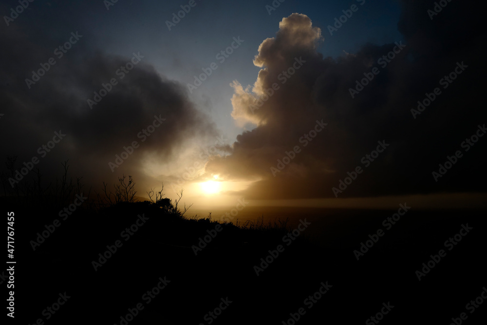 Dark sunset with clouds and light on horizon with silhouette of plant.
