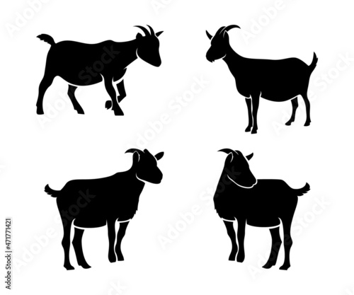 goat silhouettes set  goat silhouettes collections  goat illustration