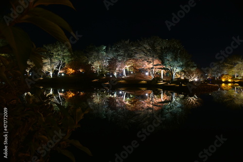 Fall foliages and reflection 
