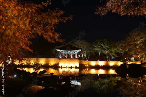 Fall foliages and reflection 
