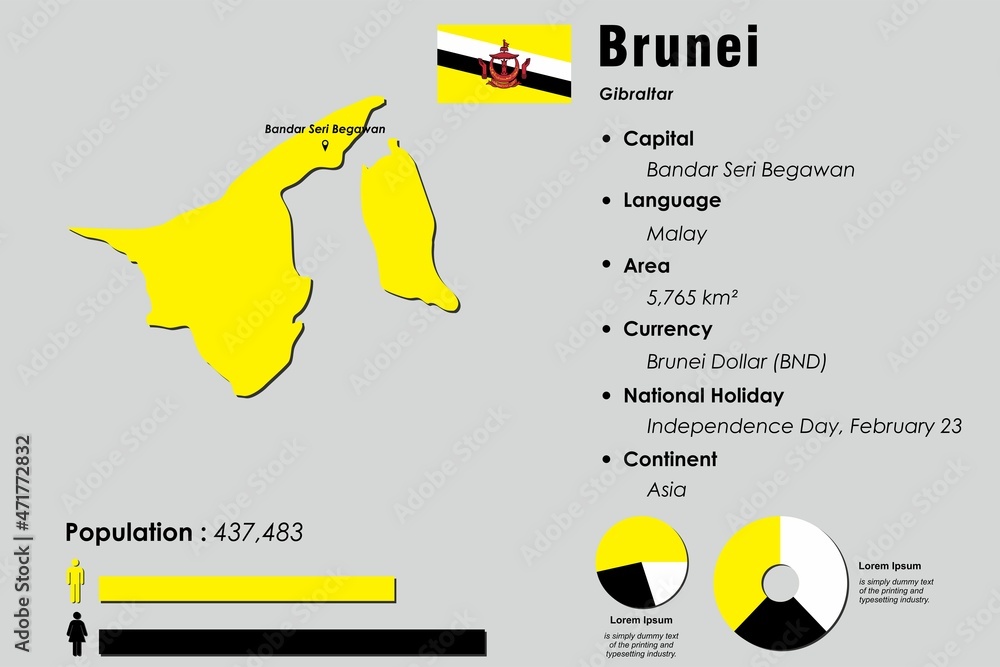 Brunei Darussalam infographic vector illustration complemented with