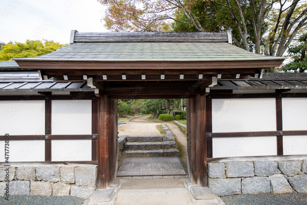 Fototapeta premium 愛媛県の松山城