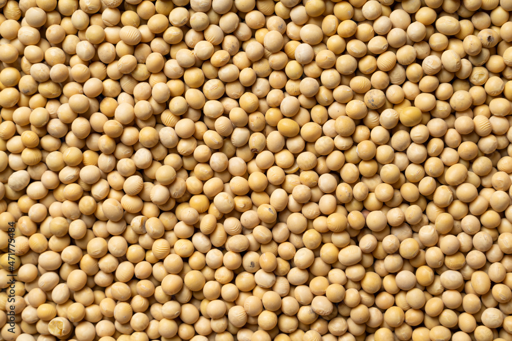 A lot of nutritious soybeans A lot of nutritious soybeans