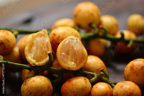 Baccaurea racemosa, common names kapundung or menteng is a species of fruit tree in Indonesia, Southeast Asia. It belongs to the family Phyllanthaceae photo