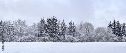 forest after a heavy snowfall. winter panoramic landscape.