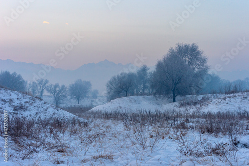 winter landscape with fog