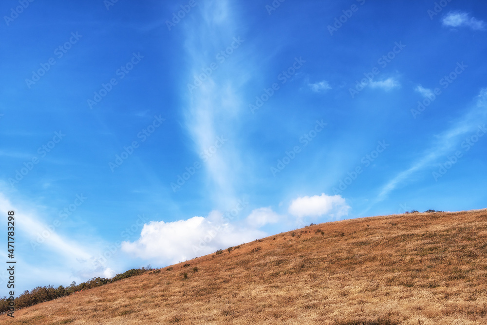 Saebyeol Oreum Autumn Silver Grass Saebyeol Oreum Autumn Silver Grass