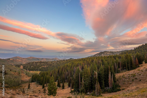 Bilde på lerret Sunset over Guardsman's pass in the Wasatch mountains of Utah, with pine trees and pink clouds